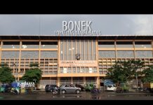Bonek, Loyalitas Tanpa Batas