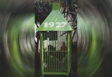 Kisah Jojo 1927, Ayam Kesayangan Kardi Suwito