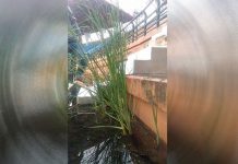 Rindu Persebaya dan Kondisi Terkini Tribun Utara Stadion GBT