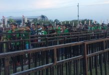 Arogansi Panpel, Profesional atau Bebal?