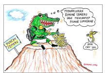 Taklukkan Puncak Semeru!