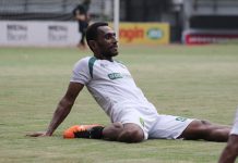 Benarkah Persebaya Surabaya Berasa Papua?