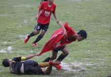 Hujan Deras, Semut Hitam Tundukkan Bintang Angkasa