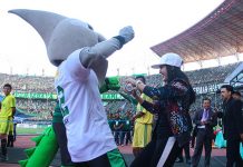 Ada “Via Vallen”, Marko Simic Mandul