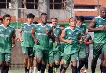 Melahirkan atau Membeli Bintang, Pilih Mana Green Force-ku?