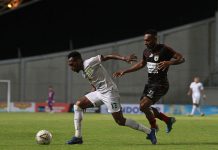 Asa dari Elisa Basna