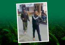 Sego Elek dalam Empat Perspektif, Sebuah Catatan dari Seorang Bonek